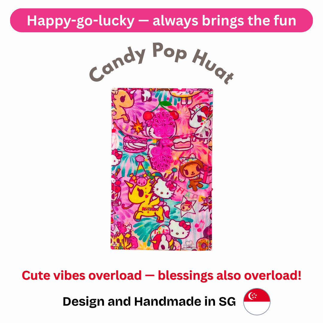 Handmade Fabric Angbao Cash Pouch (Fits Big Notes) | Reusable AngBao | CNY 2026 Angbao